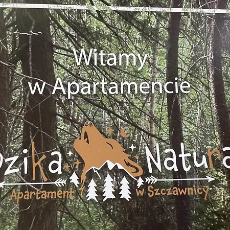 Dzika Natura דירה *